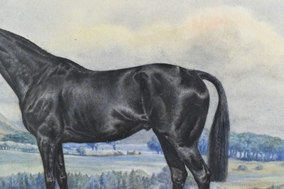 Lot 1046 - Dorothy Margaret & Elizabeth Mary Alderson, watercolour - a black horse in landscape, signed and dated 1936, 35cm x 49cm, in glazed frame