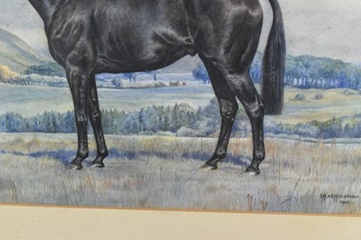 Lot 1046 - Dorothy Margaret & Elizabeth Mary Alderson, watercolour - a black horse in landscape, signed and dated 1936, 35cm x 49cm, in glazed frame