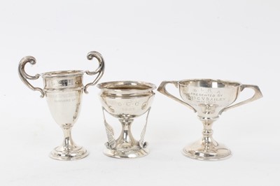 Lot 209 - Group of 12 silver trophies to include Fife Fox Hounds