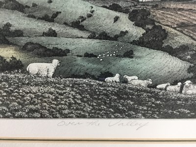 Lot 54 - Kathleen Cantin, b.1951. Contemporary American School. Artist Proof Coloured etching, “Over The Valley”. Inscribed and signed to margin, dated ’92. Mounted and framed
