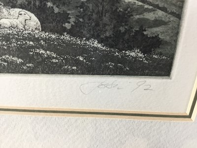 Lot 54 - Kathleen Cantin, b.1951. Contemporary American School. Artist Proof Coloured etching, “Over The Valley”. Inscribed and signed to margin, dated ’92. Mounted and framed