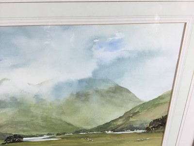 Lot 58 - Jill Parker, Contemporary English School. “Ballachulish, Argyll”, watercolour of a Scottish landscape with sheep in foreground. Signed lower left. Mounted in frame