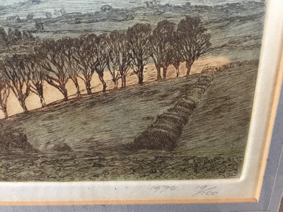 Lot 20 - Patricia A Regnart, 20th century. Coloured etching, “Taynton”. Landscape of Somerset. Titled, signed and dated to margin, 1974. 19/100. Mounted and framed