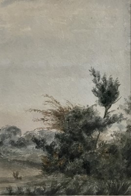 Lot 198 - Attributed to Thomas Churchyard (1798-1865) watercolour study of trees, another verso, 20 x 14cm mounted in glazed frame