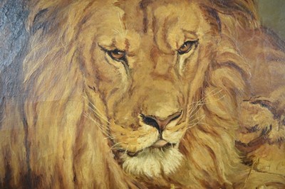 Lot 1103 - Attributed to Geze Vastagh (1866-1919), oil on canvas, Lion and Lioness, 50cm x 69cm, framed