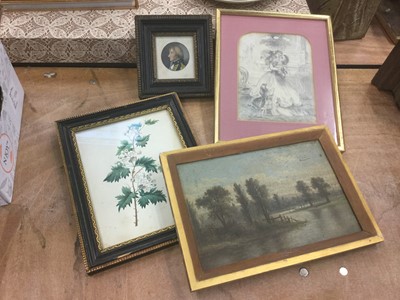 Lot 533 - 19th century Botannical watercolour, oil on canvas, engraving of Nelson and a pencil drawing (4)