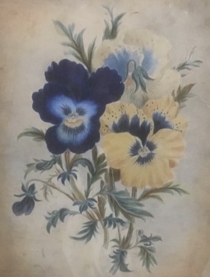 Lot 351 - 19th century English school, watercolour study of pansies, 22 x 18cm, glazed frame