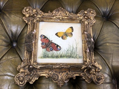 Lot 532 - Hand-painted picture of two butterflies in gilt frame