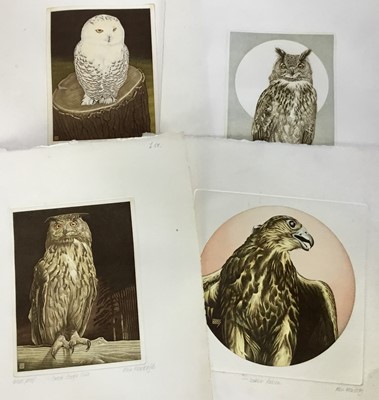 Lot 8 - Alex MacKay, contemporary, group of five signed etchings of owls and a falcon, each with artists blindstamp, largest 39cm x 38cm, unframed