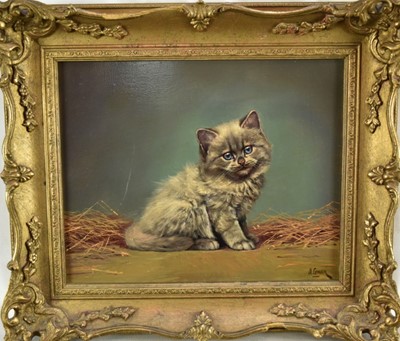 Lot 1134 - Alicia J. Leman, oil on panel, A British short hair kitten, signed, in gilt frame. 23 x 30cm.