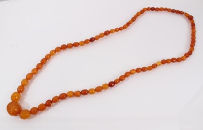 Lot 526 - Old graduated amber polished bead necklace