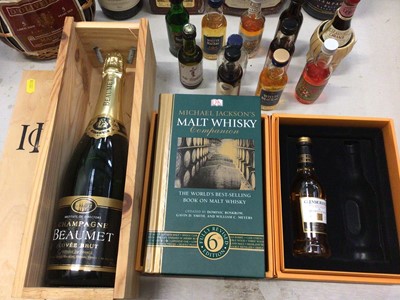 Lot 322 - Group of champagne, wine and spirits including Ascott XO brandy, Hine Antique cognac, House of Commons whisky boxed set and alcohol miniatures