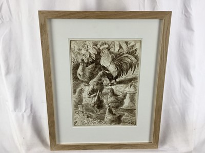 Lot 48 - Peter Partington (b.1941) signed artist proof etching - Chickens, 28cm x 21cm, in glazed frame
