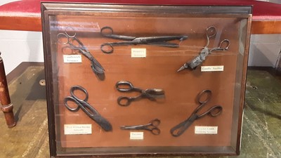 Lot 248 - Glazed case containing various different scissors and trimmers