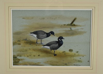 Lot 979 - Philip Rickman (1891-1982) watercolour and gouache - Pair of Brent Geese, signed and dated 1962, 29cm x 40cm, in glazed frame