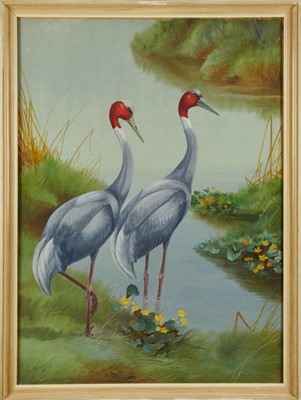 Lot 982 - Philip Rickman (1891-1982) watercolour and gouache - Pair of Sarus Cranes, signed and dated 1963, 83cm x 60cm, in glazed frame