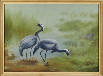 Lot 983 - Philip Rickman (1891-1982) watercolour and gouache - Pair of Demoiselle Cranes, signed and dated 1963, 59cm x 82cm, in glazed frame