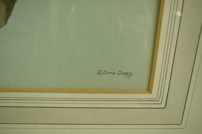 Lot 984 - R. David Digby (b.1936) watercolour - A Gyrfalcon, signed, 31cm x 24cm, in glazed gilt frame