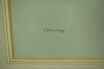 Lot 985 - R. David Digby (b.1936) watercolour - A Kestrel, signed, 31cm x 24cm, in glazed gilt frame