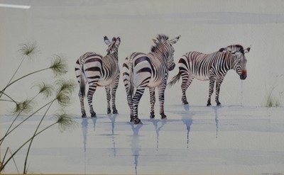 Lot 987 - Allan Carter (1909-?) watercolour - Zebra and the Papyrus, signed, 41cm x 71cm, in glazed frame