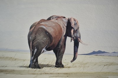 Lot 988 - Allan Carter (1909-?) watercolour - Lone Elephant Tsavo, signed, 26cm x 45cm, in glazed frame