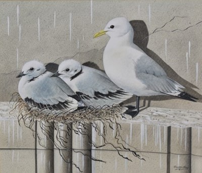 Lot 989 - Richard Hull (b.1946) watercolour - Kittiwakes on Lowestoft Pier, signed, 31cm x 37cm, in glazed frame