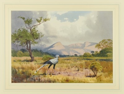 Lot 990 - *John Cyril Harrison (1898-1985) watercolour - Secretary Bird in Kruger National Park, signed, 33cm x 46cm, in glazed gilt frame