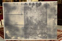 Lot 905 - Elton Bash (b. 1950), acrylic and graphite on...