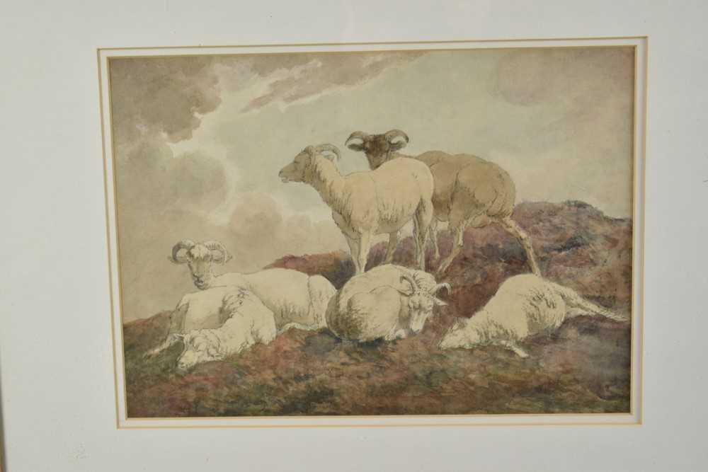 Lot 214 - Robert Hills (1769-1844) watercolour - Sheep at Rest, signed verso, 26cm x 36cm, in glazed gilt frame