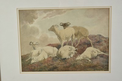 Lot 189 - Robert Hills (1769-1844) watercolour - Sheep at Rest, signed verso, 26cm x 36cm, in glazed gilt frame