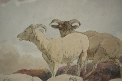 Lot 214 - Robert Hills (1769-1844) watercolour - Sheep at Rest, signed verso, 26cm x 36cm, in glazed gilt frame
