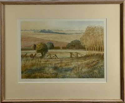 Lot 134 - Michael Carlo (b. 1945) signed print entitled The Valley I, numbered 8/75, framed and glazed