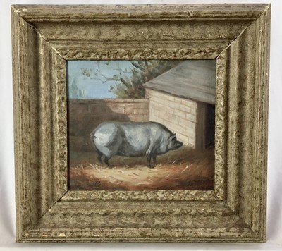Lot 92 - J. Box oil on canvas laid on board - a prize pig, signed, 20cm x 23cm, framed