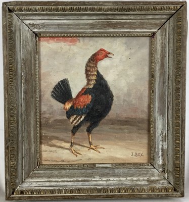 Lot 99 - J. Box oil on canvas laid on board - a fighting cock, 23cm x 20cm, signed, framed