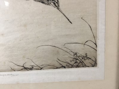 Lot 94 - Winifred Austen (1876-1964) etching of a snipe, signed in pencil, framed and glazed