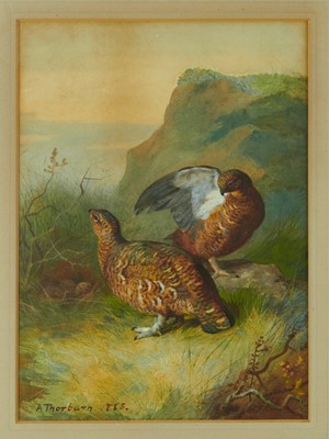 Lot 1028 - Archibald Thorburn (1860-1935) watercolour - Brace of Grouse, signed and dated 1885, 35cm x 25cm, in glazed frame