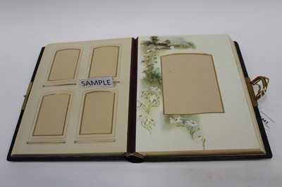 Lot 1441 - Victorian illustrated photograph album