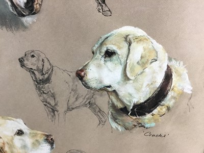Lot 132 - Elizabeth Sharp - pastel and watercolour- studies of a horse and gun dogs, 'Dubonnet' 'Corny' and 'Cracks' signed and dated July 1982.