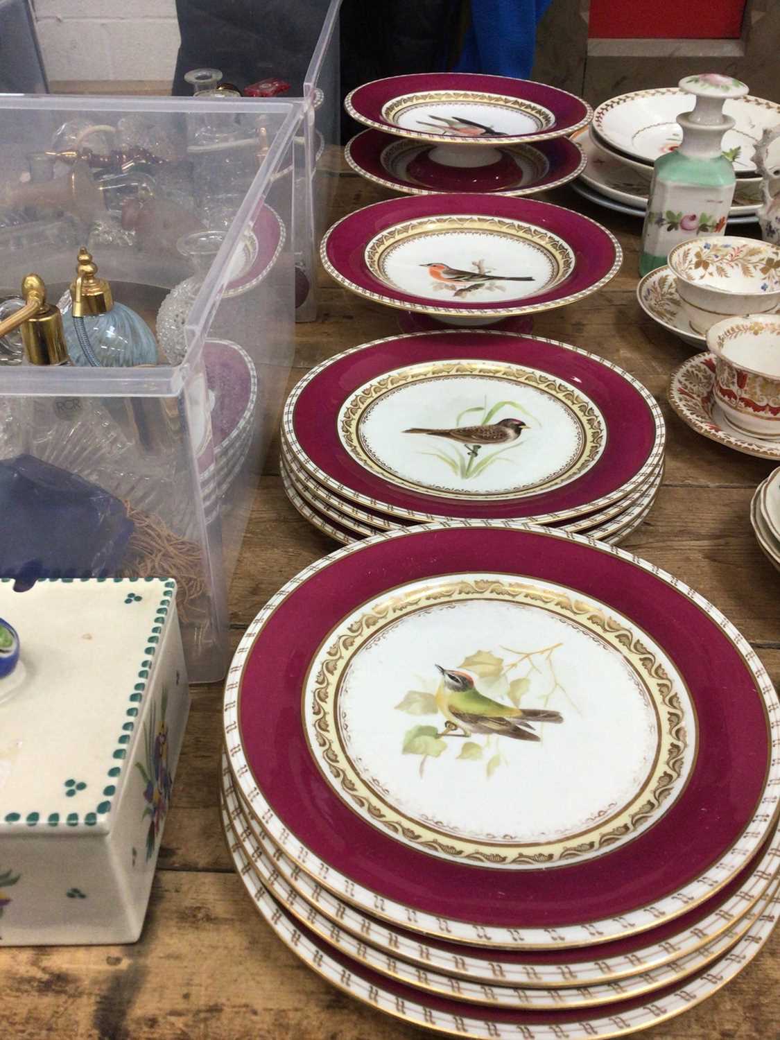 Lot 24 - A late 19th century English porcelain claret ground ornithological dessert service, comprising three tazza and eight plates