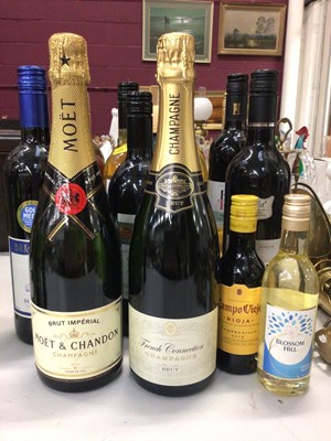 Lot 324 - Bottle of Moët & Chandon champagne, one other bottle of champagne and a group of red, white and rosé wines (15)