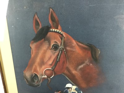 Lot 64 - D. M. Gillingham, pastel on paper, the racehorse 'Ninja Dancer', signed and inscribed, 71cm x 53cm, in glazed frame