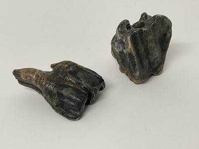Lot 68 - Two woolly rhino teeth, discovered on the North Sea bed