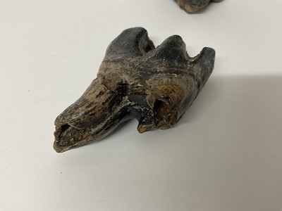 Lot 68 - Two woolly rhino teeth, discovered on the North Sea bed