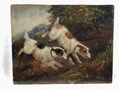 Lot 193 - Attributed to Edward Armfield oil on board, a pair, Terrier Dogs rabbiting