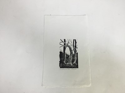 Lot 241 - Philippa Dow (contemporary) woodcut, Front Garden, signed and numbered 1/25, 8 x 6.5cm, together with five others by the same hand