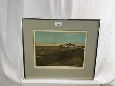 Lot 245 - John Brunsdon (1933-2014) etching and aquatint, Suffolk Coastline, signed and numbered 23 x 29cm, glazed frame