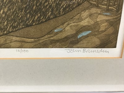 Lot 245 - John Brunsdon (1933-2014) etching and aquatint, Suffolk Coastline, signed and numbered 23 x 29cm, glazed frame