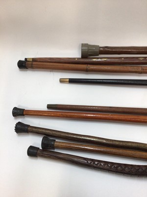 Lot 2458 - Collection of nine walking sticks