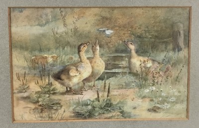 Lot 336 - A. West, early 20th century watercolour - Ducklings and a Butlerfly, signed, 23cm x 35cm, in glazed frame