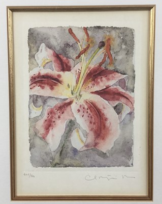 Lot 9 - Contemporary pair of signed limited edition prints - Lily 407/500 and Flower in vase 114/500, both 20cm x 14cm, signed indistinctly, mounted in gilt frames (45cm x 37cm overall)